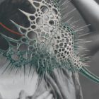 puzzle mascarade de marta pina